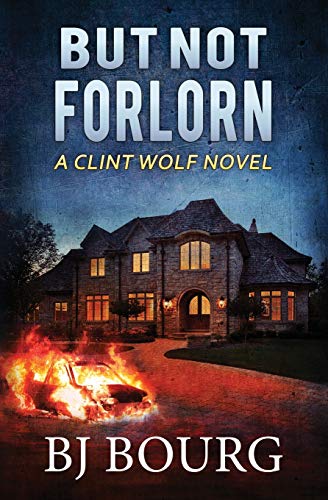But Not Forlorn book cover