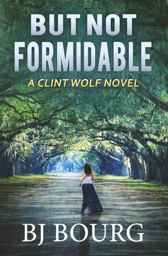 But Not Formidable book cover
