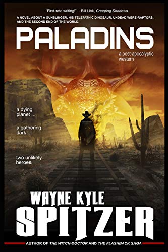Paladins book cover