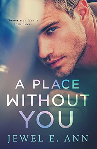 A Place Without you book cover