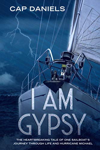 I Am Gypsy book cover