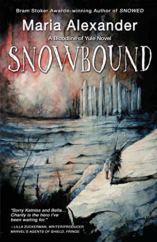 Snowbound book cover