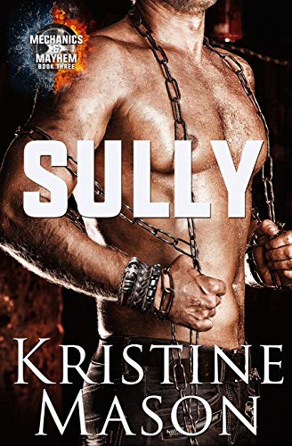 Sully book cover