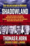 Shadowland From Jeffrey Epstein To The Clintons From Obama And Biden To The Occult Elite Exposing The Deepstate Actors At War With Christianity Donald Trump And Americas Destiny