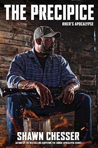 The Precipice book cover