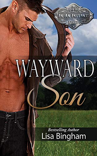 Wayward Son book cover