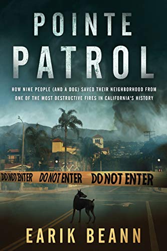 Pointe Patrol book cover