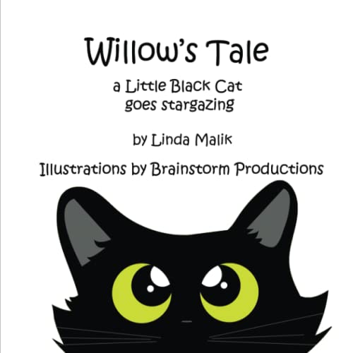 Cover of Willow's Tale : a Little Black Cat Goes Stargazing