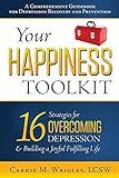 Your Happiness Toolkit 16 Strategies For Overcoming Depression And Building A Joyful Fulfilling Life