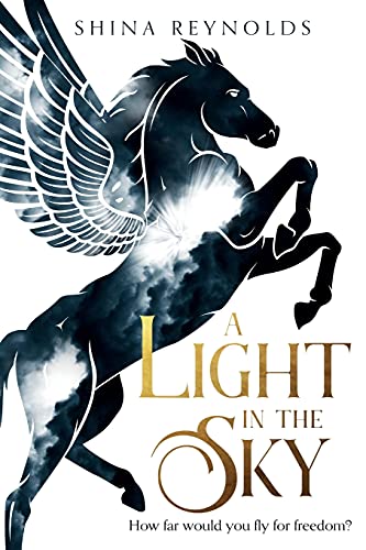 Cover of Light in the Sky