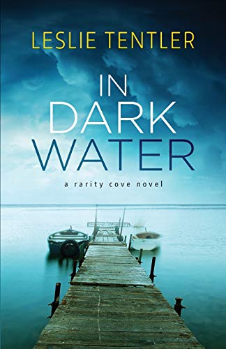 In Dark Water book cover