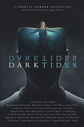 Dark Tides book cover