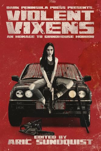 Violent Vixens book cover