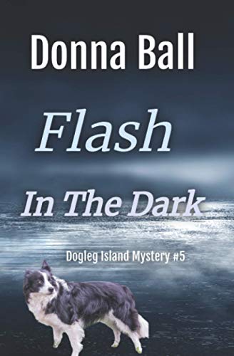 Flash in the Dark book cover