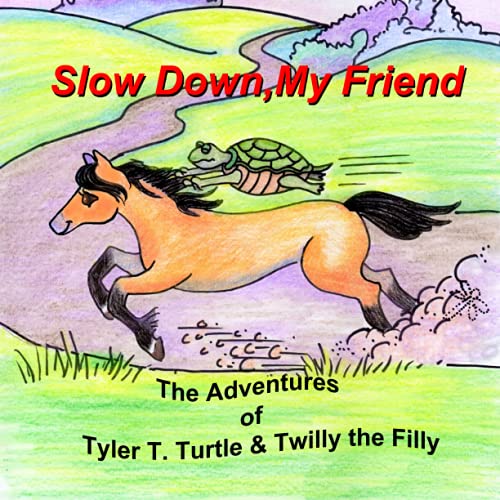 Cover of Slow down, My Friend