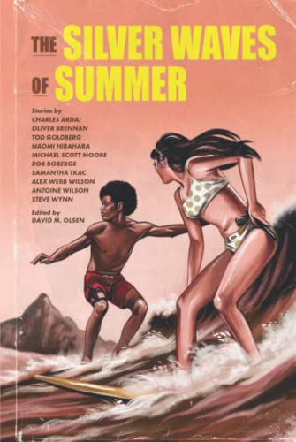 The Silver Waves of Summer book cover