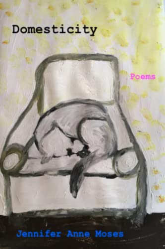 Domesticity cover