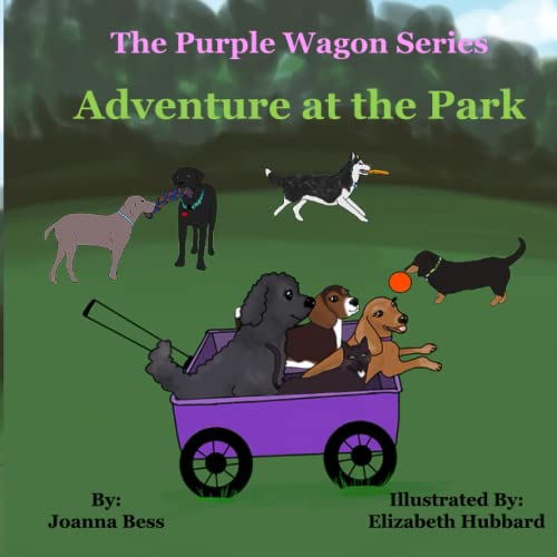 Cover of Adventure at the Park
