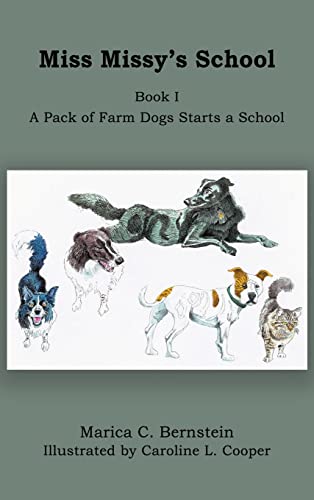 Cover of Miss Missy's School