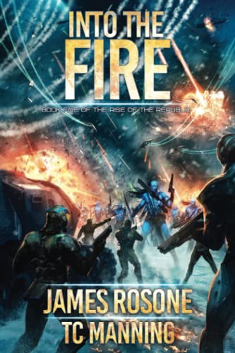 Into the Fire book cover