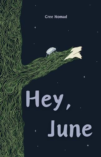 Hey, June book cover
