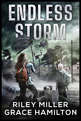 Endless Storm book cover
