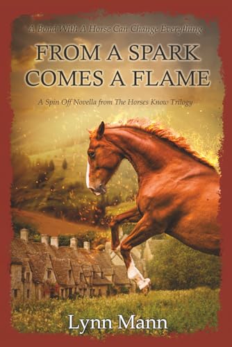 From A Spark Comes A Flame book cover