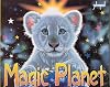 Magic Planet (Pop-Up Books)