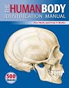 The Human Body Identification Manual: Your Body and How It Works