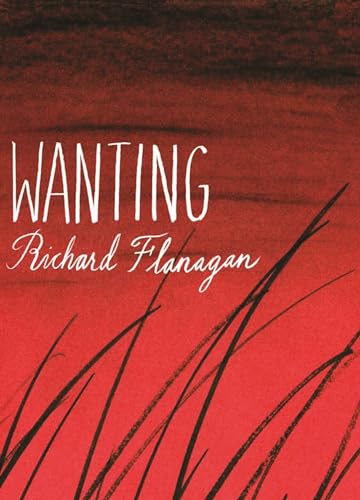 Wanting book cover