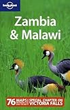 Lonely Planet Zambia Malawi Multi Country Travel Guide