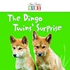 The Dingo Twins' Surprise