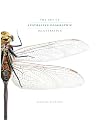 Art of Australian Geographic Illustration: The Best of Aust Geographic's Natural History & Technical Illustrations