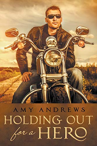 Holding Out For a Hero book cover