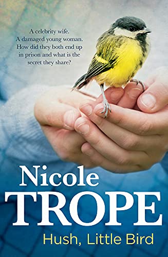 Hush, Little Bird book cover