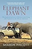 Elephant Dawn
