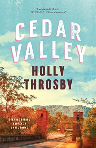 Cedar Valley book cover