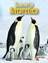 Summer in Antarctica