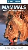 Mammals Of Southern Africa Pocket Guide