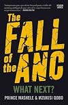 The fall of the ANC: What next?