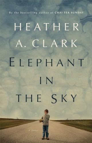 Elephant in the Sky book cover
