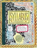 Syllabus Notes From An Accidental Professor