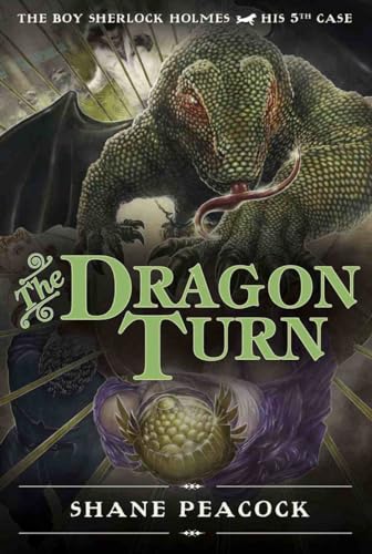 The Dragon Turn book cover