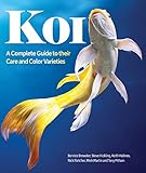 Koi A Complete Guide To Their Care And Color Varieties