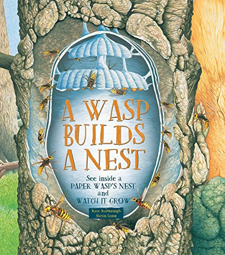 Cover of A wasp builds a nest