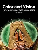 Color And Vision The Evolution Of Eyes Perception