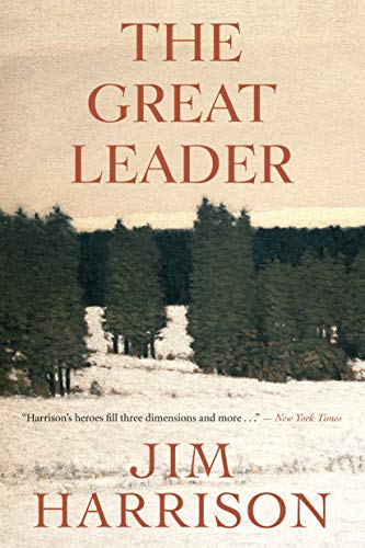 Great Leader book cover