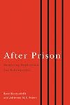 After prison : navigating employment and reintegration
