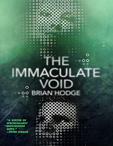 The Immaculate Void book cover
