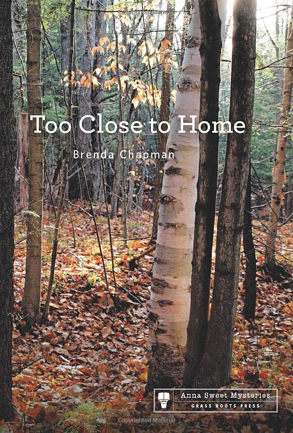 Too Close to Home book cover
